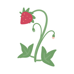 strawberry modern flat vector illustration