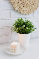 Burning white bauble candle with plant on the table