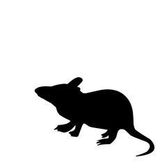 Rat Silhouette 
