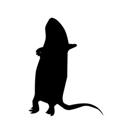 Rat Silhouette 