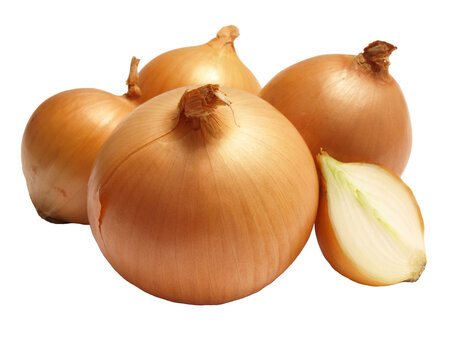 Onions on a white background isolated