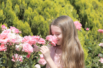 Fototapeta premium Little girl among flowerbed of pink roses