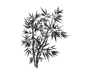 Bamboo tree, Hand drawn style. Vector.	
