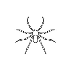 Spider vector icon. halloween illustration sign. insect symbol. spiderweb logo.
