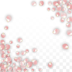 Pink Vector Realistic Petals Falling on Transparent Background.  Spring Romantic Flowers Illustration. Flying Petals. Sakura Spa Design. Blossom Confetti. Design Elements for Wedding Decoration.