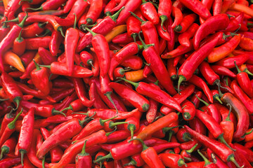 Red hot chili pepper background 