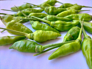 Selective focus. A bunch of small green chilies with a white screen.
