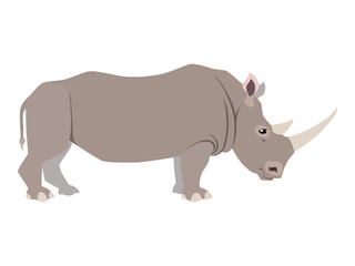 
Animal illustration. Standing rhino drawn in a flat style. Isolated object on a white background. Vector 10 EPS