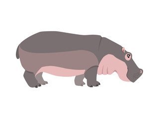 Animal illustration. Standing hippo drawn in a flat style. Isolated object on a white background. Vector 10 EPS