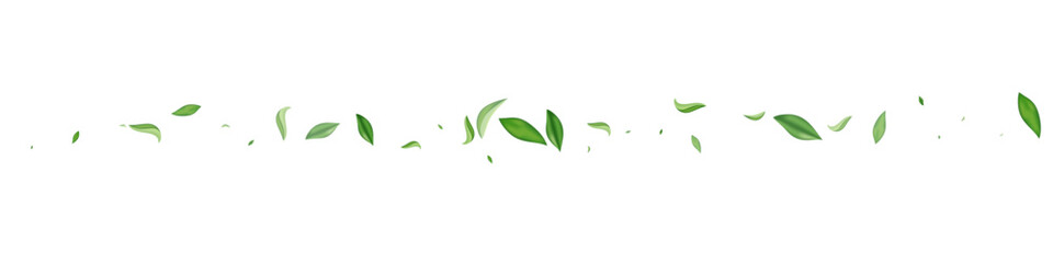Green Foliage Wind Vector Transparent Panoramic