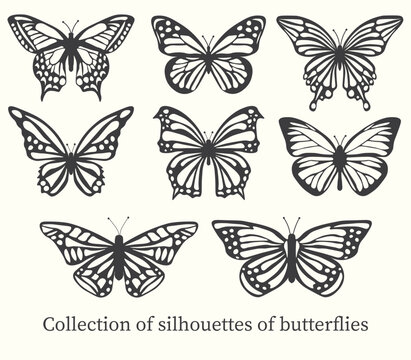 set of butterflies isolated Collection of silhouettes of butterflies