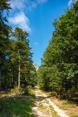 Wanderweg zum Luitpoldturm bei Merzalben. Region Pfalz im Bundesland Rheinland-Pfalz in Deutschland