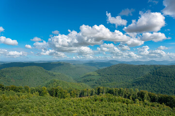 Blick vom Luitpoldturm bei Merzalben über den Pfälzerwald, Region Pfalz im Bundesland...