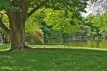 Fototapeta na wymiar Parco lago e giardini di Milano 3 - Basiglio, Milano
