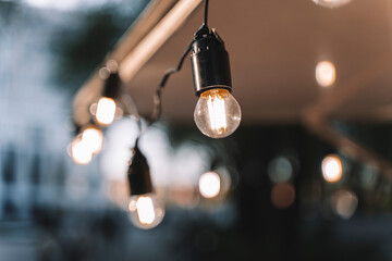 Garland of light bulbs for the evening decor of the yard and at home.
