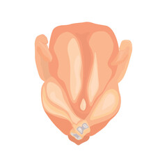 Vector illustration of fresh raw chicken and chicken parts isolated on white background. Breast, wings and legs. Baked raw whole chicken meat