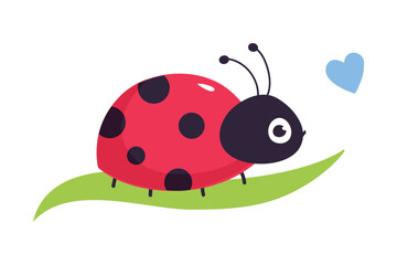 Cute ladybug sitting on green leaf. Funny little ladybird insect cartoon vector illustration