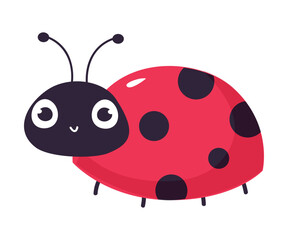 Cute smiling ladybug. Funny little insect cartoon vector illustration