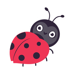 Obraz premium Cute funny ladybug. Little ladybird insect mascot cartoon vector illustration