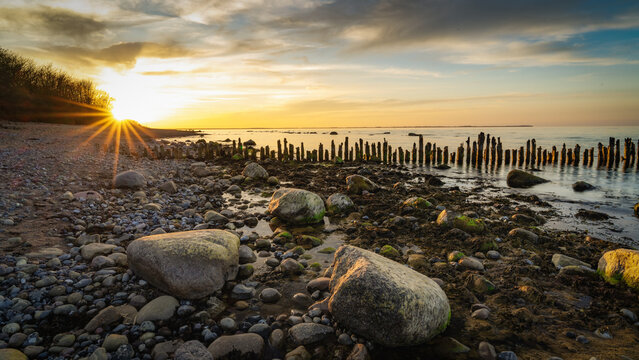 Steik&uuml;ste R&uuml;gen