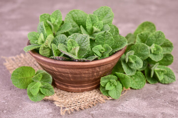 Fresh mint in a clay bowl on a gray background. Close-up.  © Olivka888
