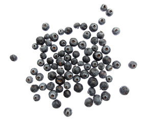 Ripe blueberries isolated on white background.