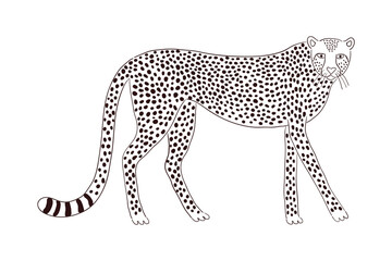 Cute walking cheetah hand drawn cartoon character illustration, sketch. Line art, drawing style design, isolated vector. Tropical animal, jungle wildlife, big cats, safari, nature, print element