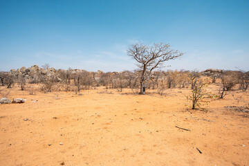 desert landscape in Namibia