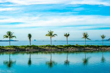 Fototapeta na wymiar Small island palm tree line sea background. Blue clear ocean skyline. Reflection on water surface