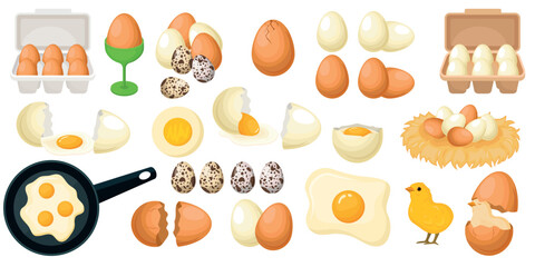 Vector set of farm eggs. The concept of cooking and fresh food. Chicken yolk and protein. A beautiful element for your design.