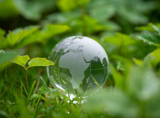Obraz na płótnie Canvas glass earth globe in green grass
