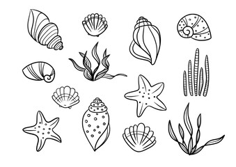 Sea shell starfish and seaweed silhouette vector icon set. Line pattern sea hand drawn contour isolated on white background. Black marine beach graphic elements. - obrazy, fototapety, plakaty