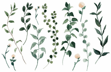 Beautiful clip art stock illustration set with hand drawn watercolor branch with leaves.