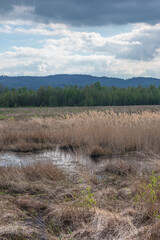 Obraz premium Bog Grosses Torfmoor in Germany.