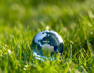 blue glass earth globe in grass