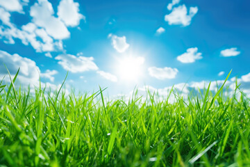Fototapeta premium Green grass and blue sky with white clouds at summer. Generative AI