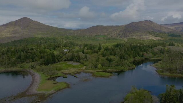 Ancient forest and mountains West Cork Ireland early May Morning
