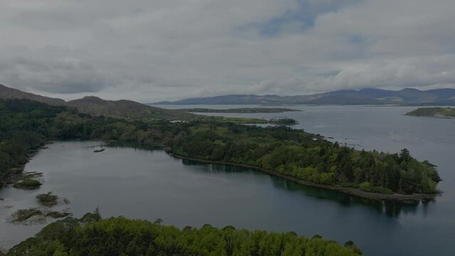 Drone view of ancient wild forest on Kenmare bay West Cork Itrland spring morning