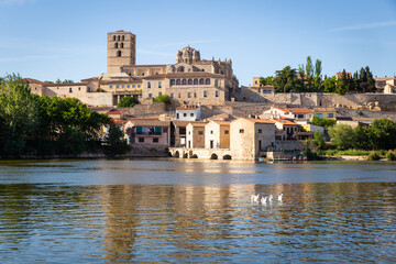 view of Zamora cathedral from the Duero river - obrazy, fototapety, plakaty