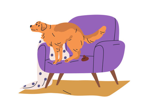 Dog pooping on furniture. Bad unwanted behavior problem, canine defecation at home. Doggy spoiling armchair with shit, feces, excrement. Flat vector illustration isolated on white background