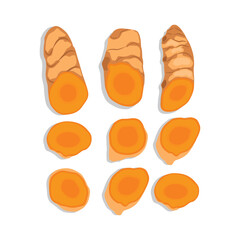Vector illustration of fresh turmeric. Yellow spices turmeric whole, slices, powder and green leaf. Herb plant