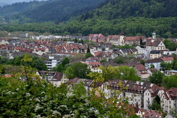 Fototapeta na wymiar Der Osten von Freiburg im Frühling