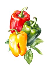 Watercolor illustration of bell peppers on white background. Generative AI.