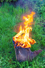 burning an object on a stump in a meadow. 