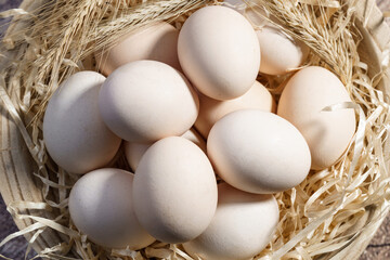 Wiejskie jajka ułożone na sianie