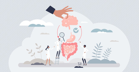 Gut brain axis as emotional feeling and bowel connection tiny person concept. Interaction between mood and intestine or stomach micro flora health vector illustration. Gastrointestinal influence.