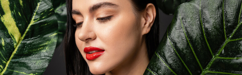 charming young woman with brunette hair and red lips posing around tropical and exotic green palm leaves with raindrops on them isolated on grey background, banner