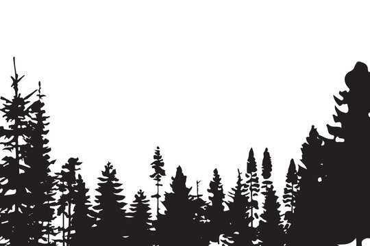 Vector collection of black pine trees on white background