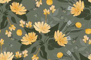 Vector floral seamless pattern. Yellow Succory, chicory flowers