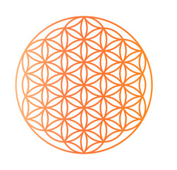 flower of life gradient, manifest, journal, wellness, gratitude journal, spiritual, isolated, ready to print
